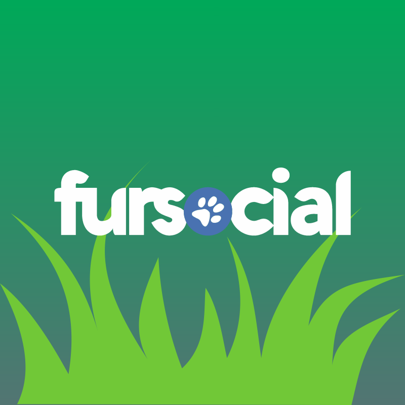 Fursocial Amazônica