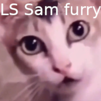 LSSamFurry