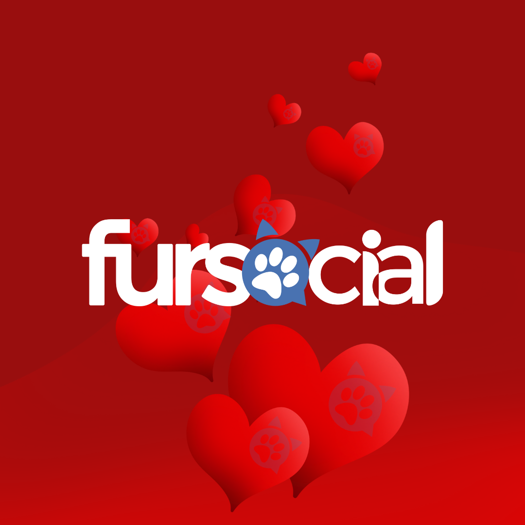 Fursocial