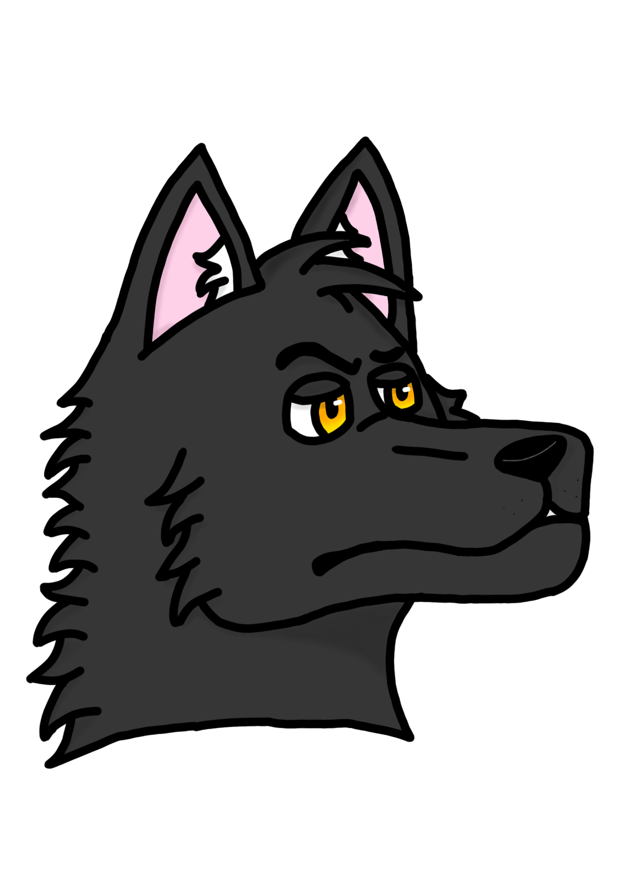 Leo_DTUP